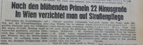 Nach den blühenden Primeln kam die Eiseskälte
